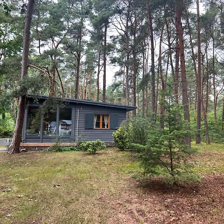 Holiday home Solaris House - Wsrod Lasu Sosnowego Pobierowo
