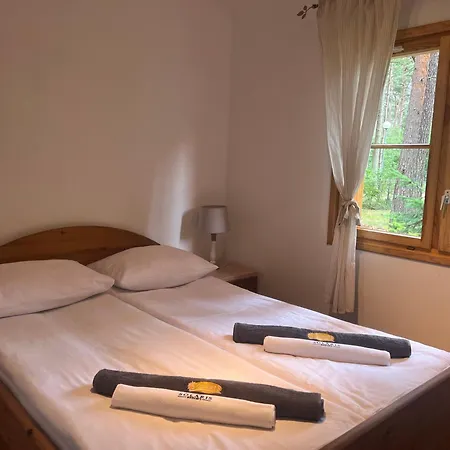 Solaris House - Wsrod Lasu Sosnowego Holiday home *